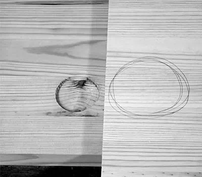 Passendes Brett aussuchen