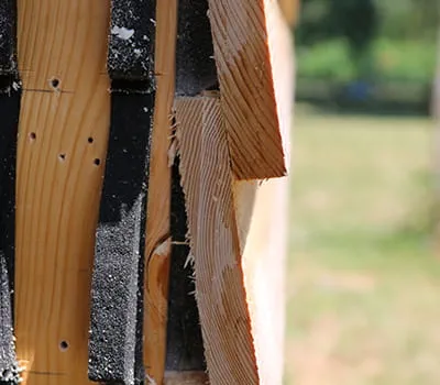 Abschnitt durchführen